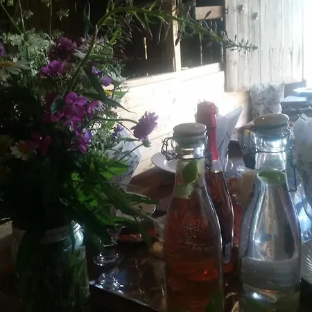 Ferienhaus Soberget Stange