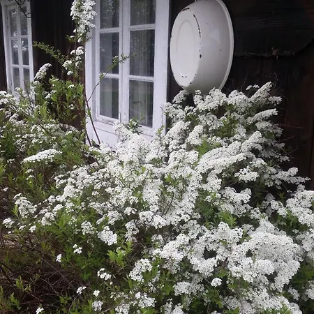 Ferienhaus Soberget Stange
